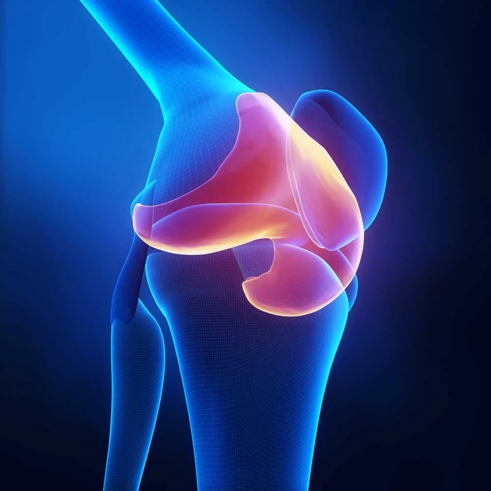Cartilage Injury