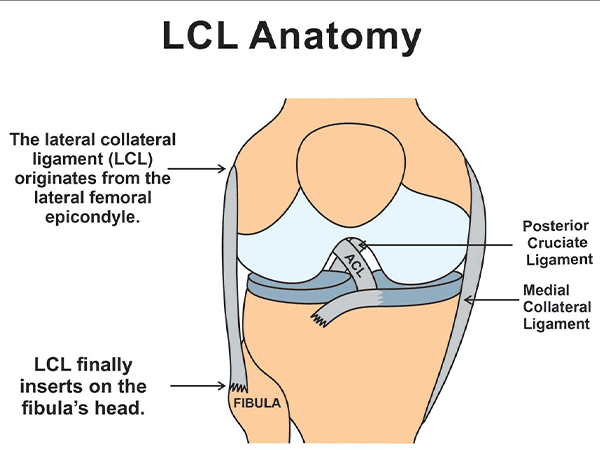 Knee Ligament Injury